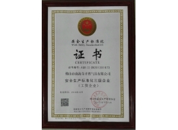 安全生產(chǎn)標(biāo)準(zhǔn)化三級(jí)證書(shū)
